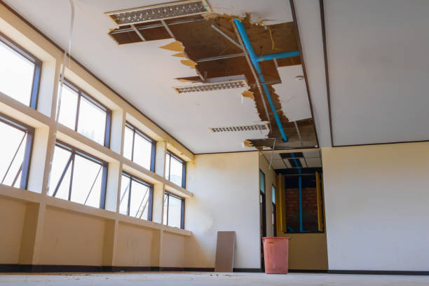 Best Water damage repair service  in Kings Grant, NC