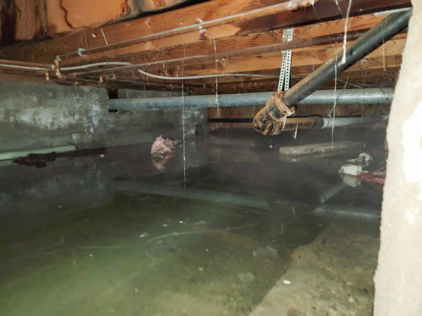  Kings Grant, NC Water damage restoration Pros