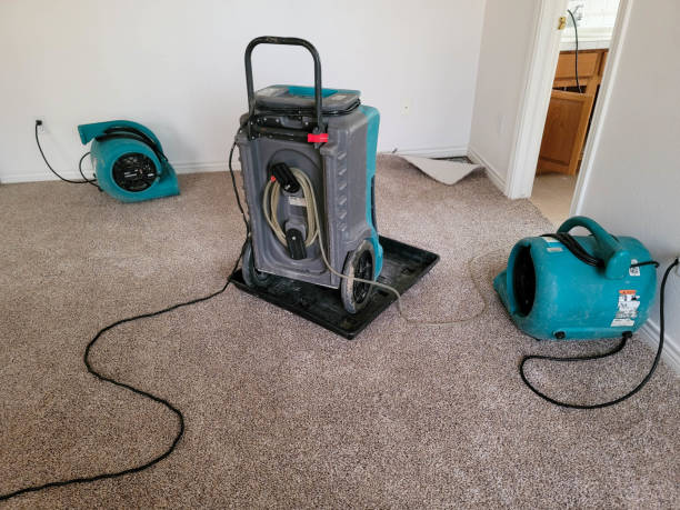 Best Local water damage restoration  in Kings Grant, NC