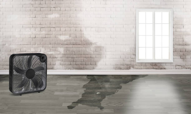 Best Emergency water damage restoration  in Kings Grant, NC