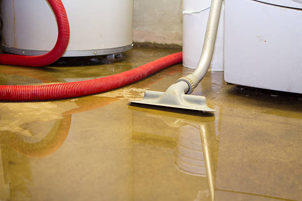 Best Fire Damage Restoration  in Kings Grant, NC