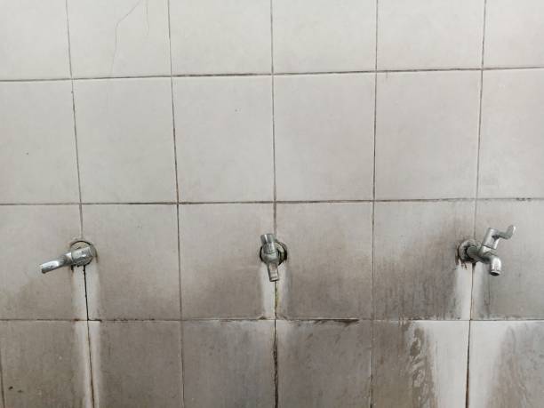 Best Water damage restoration cost  in Kings Grant, NC