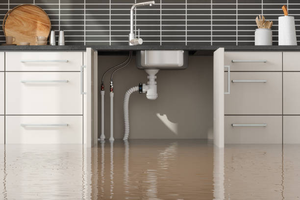  Kings Grant, NC Water damage restoration Pros