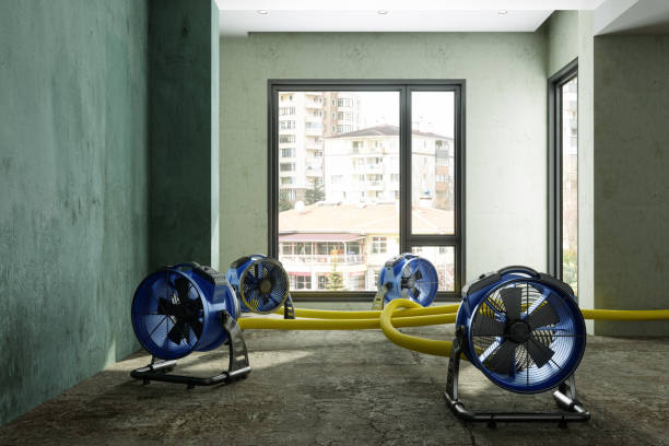 Best Basement water damage restoration  in Kings Grant, NC