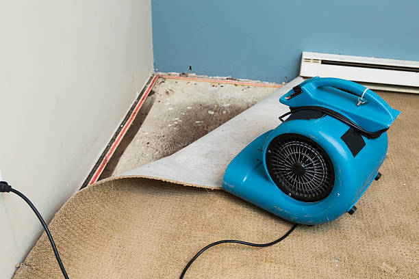 Best Mold removal after water damage  in Kings Grant, NC